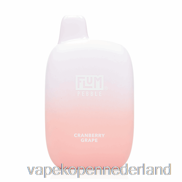Vape Nederland Flum Kiezel 6000 Wegwerp Cranberry Druif